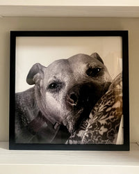 Maureen R's Black Framed Portrait