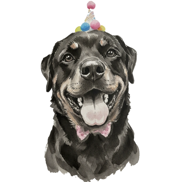 Rottweiler portrait in Ink Wash style &mdash; custom pet portrait