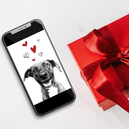 Valentine's Bundle (Digital Download & $25 Digital Giftcard)