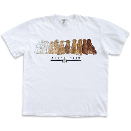Crew T-Shirt - Toast Scale