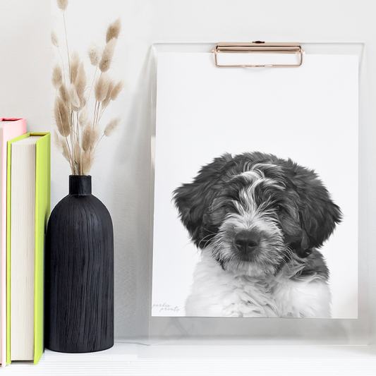 Personalized Perkie Print - Unframed