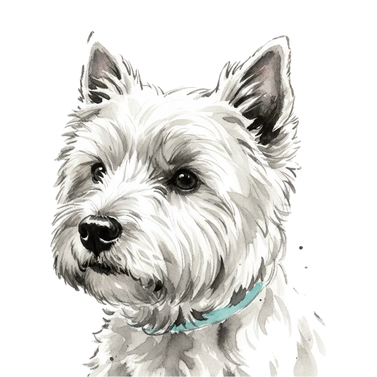Westie portrait in Ink Wash
