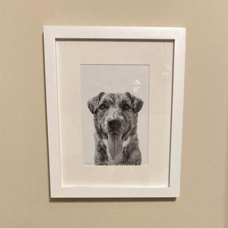 Memorial pet portrait in white frame