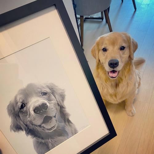 Custom black and white pet portrait in black frame on wall