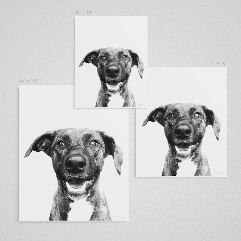 Custom Pet Drawing, orders Printable Art, Wall Art