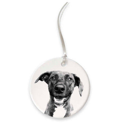 Personalized Pet Ceramic Holiday Ornament