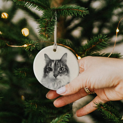 Personalized Pet Ceramic Holiday Ornament