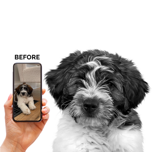 New Perkie Print Pet Artwork