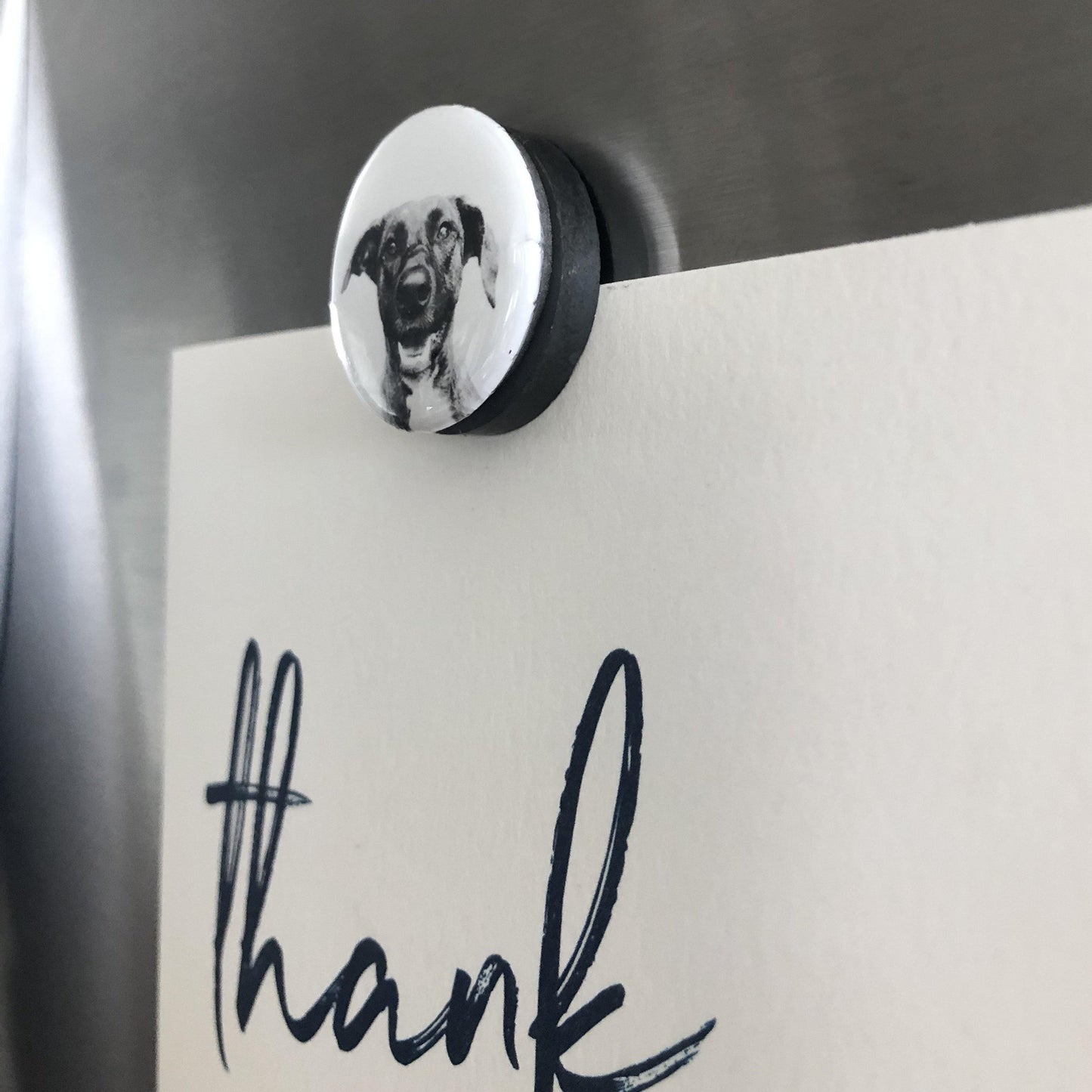 Magnets – Set of 3 (Add-On Item) - Perkie Prints