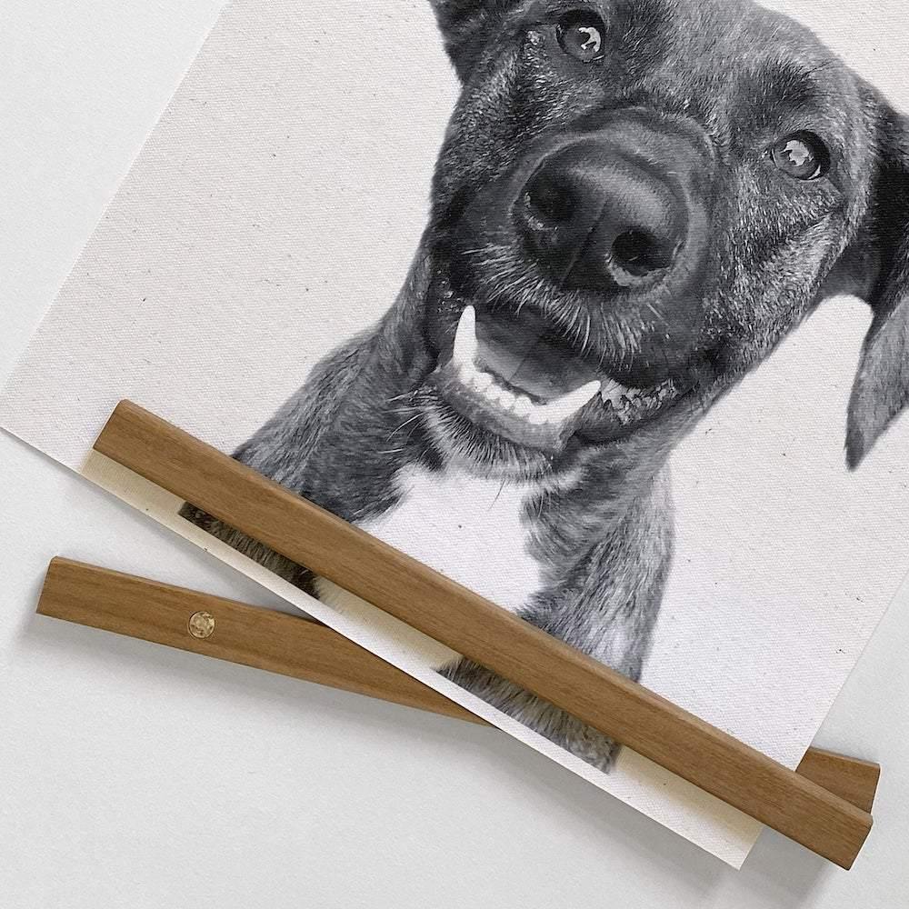 detail of hanging canvas with dog photo
