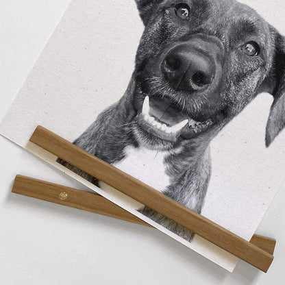 detail of hanging canvas with dog photo