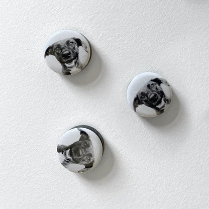 Magnets – Set of 3 (Add-On Item) - Perkie Prints
