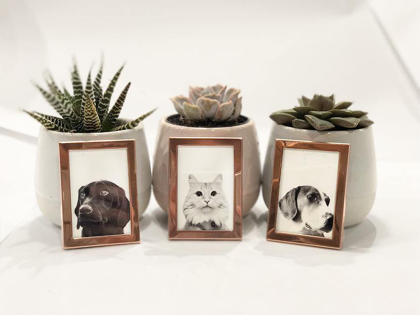 Mini Rose Gold Frame (Add-On Item) - Perkie Prints