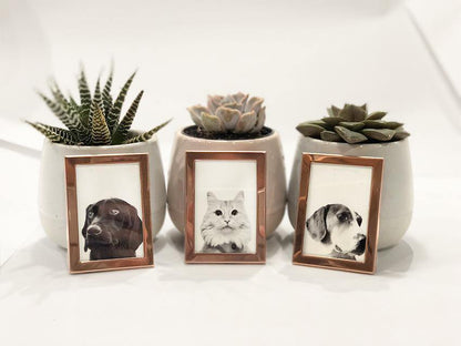 Mini Rose Gold Frame (Add-On Item) - Perkie Prints